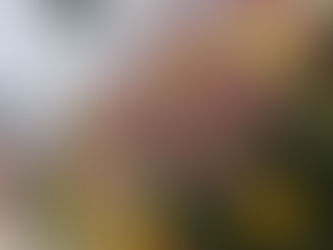 ゴールデンウィークの営業日