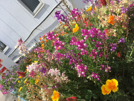 ゴールデンウィークの営業日