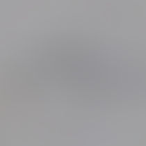 ネズミ・害虫駆除請け承ります!!