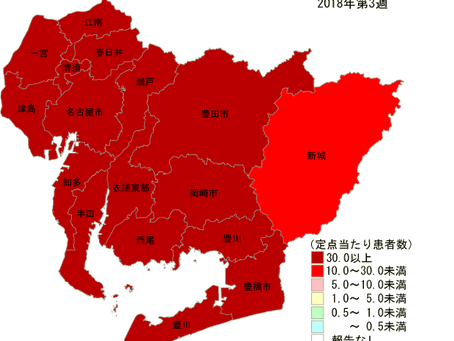 インフルエンザが大流行しています。
