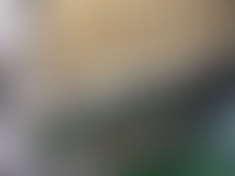 資機材紹介 スーパーパイルブラシ カーペット用起毛・復元掃除機