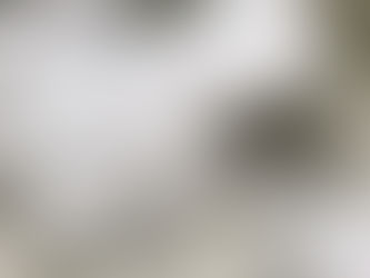 冷凍庫洗浄　霜取り