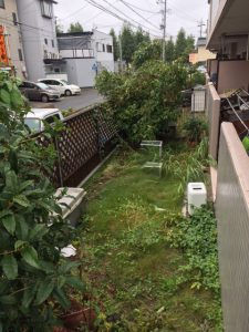 お庭の剪定作業