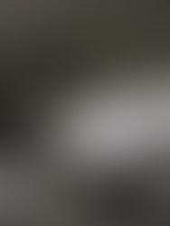 厨房清掃 レンジフード