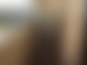 マンションの定期清掃&除草作業