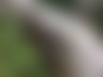 散水用ホース配管の補修