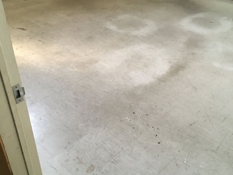 今日の清掃お見積り現場調査！