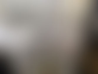 害虫駆除 名古屋