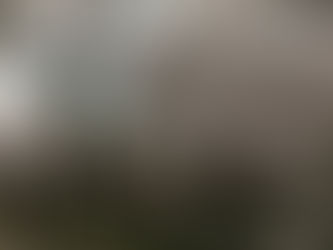 高遠城址公園の桜