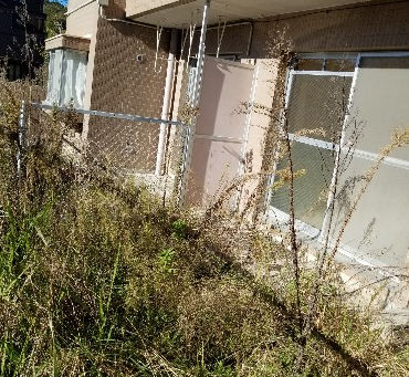 マンション専用庭の草刈り