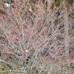 もうそこまで・・・