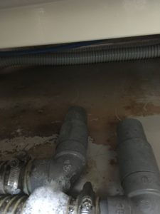 浴槽下 カビ ぬめり