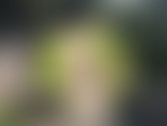 草を刈りました