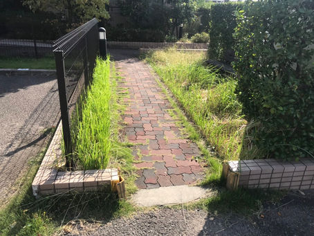 草を刈りました