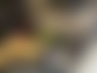 高所のガラス清掃