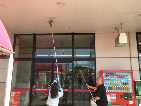 クモのシーズン到来