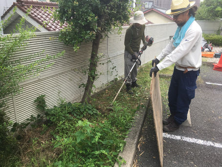 名古屋市内 草刈り