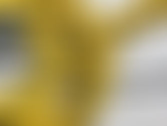 プールのコースロープ清掃