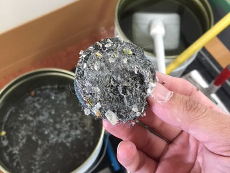 自動床洗浄機 日常メンテナンス