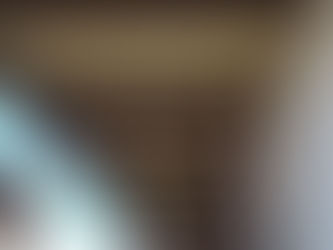 鳩防除ネット設置工事