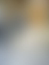 カーペット洗浄