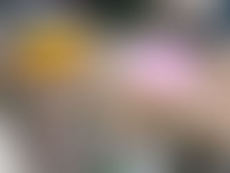 フードコートのタオル