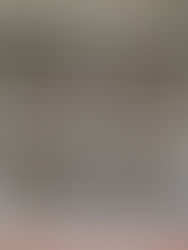 吸気ファン 防虫網