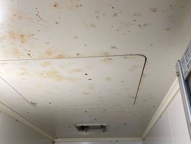 浴室の天井カビ・汚れ取り