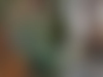 マンション植栽剪定作業の実施