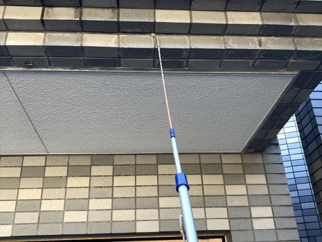 蜘蛛の卵　除去