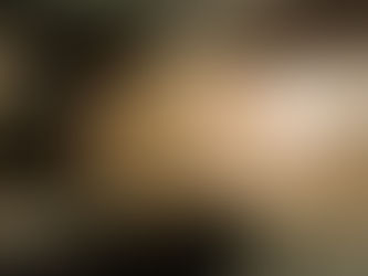 cxs ソリッドシール 2か月目リコート