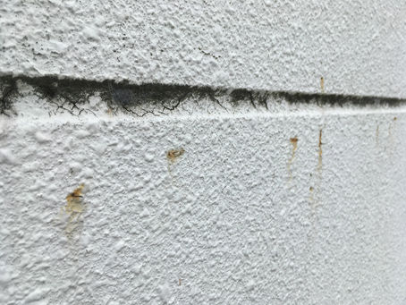 外壁洗浄の現場調査