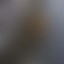 外周清掃.掃き掃除