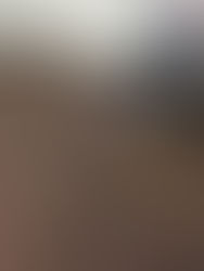 カーペット清掃 振動で汚れを落とします!