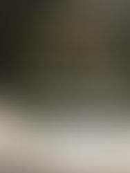 レンジフード 換気扇 老人保健施設