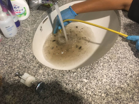 名古屋市内 排水管洗浄