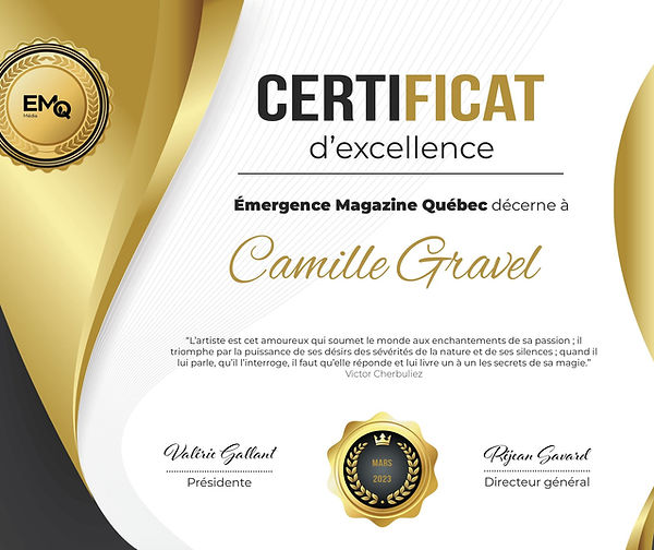 certificate of excellence.jpg