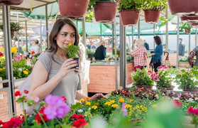 I huvudet på en entreprenör - #3 - får du ut rätt lön?