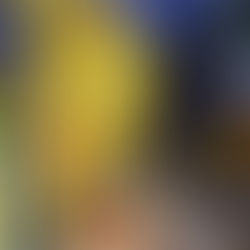 Vem vill dö utfattig för att försvara sina ideal?