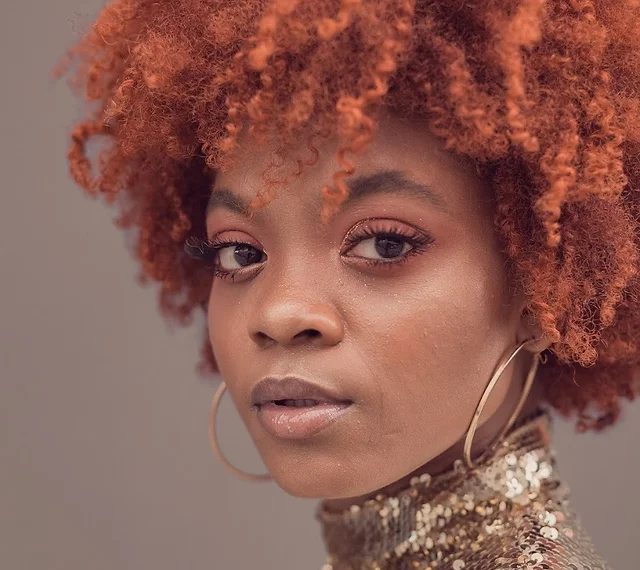 Bronx Natural Hair Stylist