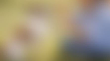 What Is Positive, Force-Free Dog Training—and Why It Works