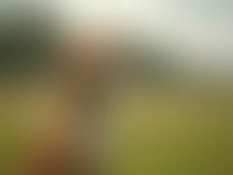 Essential Obedience Training Tips for Dog Owners