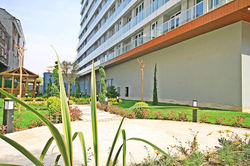 31265629_313118412549897_238667206893135