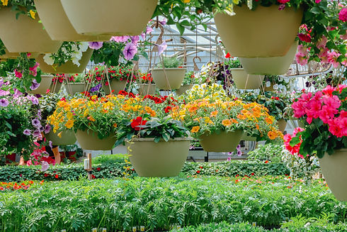 GreenHouse_PrePurchase-30.jpg