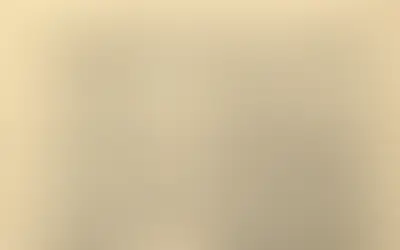 GOD & TEXAS: Bill of Rights