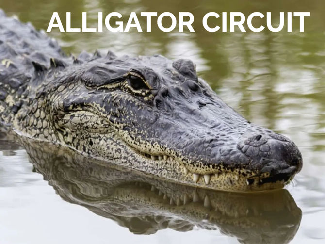 GOD & TEXAS: Alligator Circuit