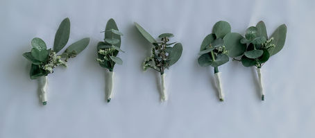 Eucalyptus boutonnieres 