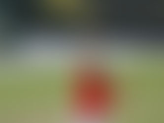 Seven Grand Slam Business-Basics by Serena Williams and Roger Federer