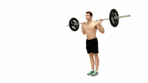 lunge.gif