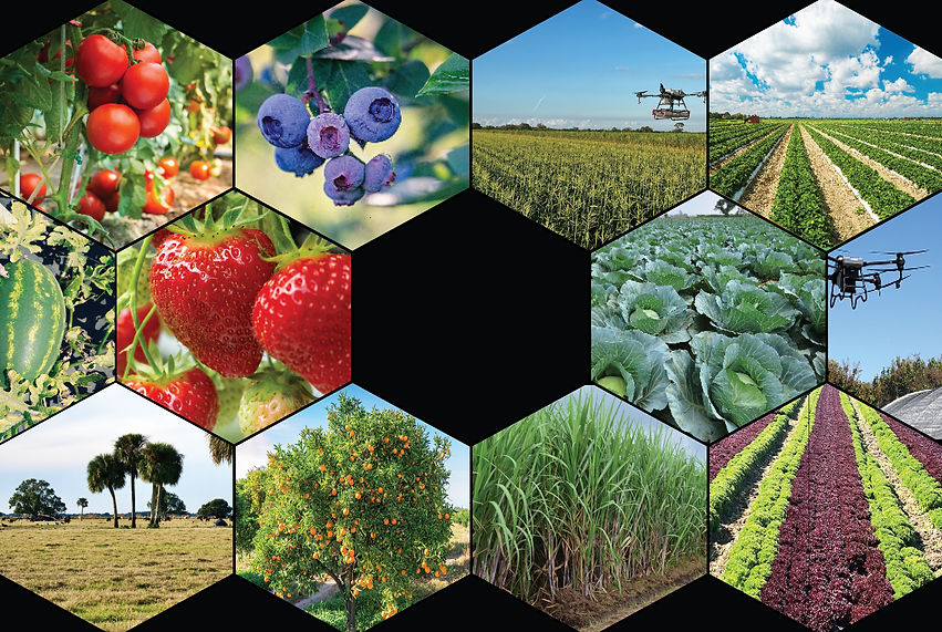 web home graphic1.jpg
